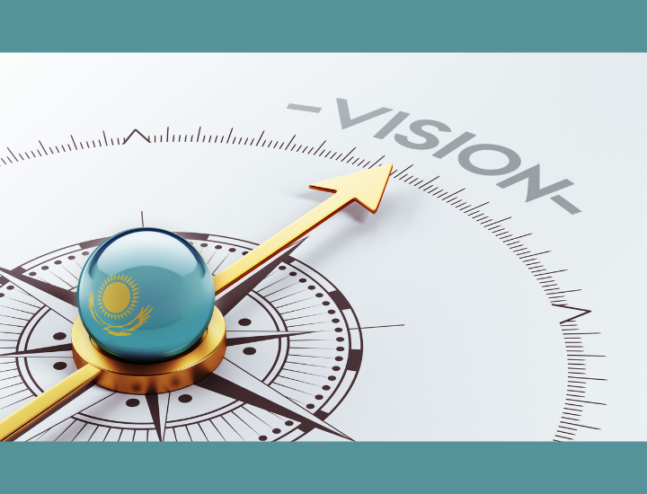 STRATEGIES, GOALS AND VISION